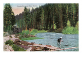 Lake Tahoe  California - Truckee River Near Tahoe Tavern Scene