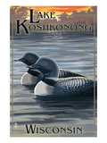 Lake Koshkonong  Wisconsin - Loons