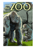 Gorillas in Forest - Visit the Zoo