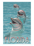 Dolphin Trio - Florida