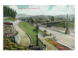 Los Angeles  California - Scenic View in Elysian Park