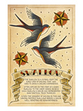 Tattoo Flash Sheet - Swallow