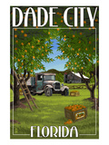 Dade City  Florida - Orange Orchard Scene