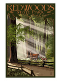 Redwoods State Park - Deer and Fawns