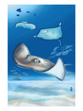 Southern Ray
