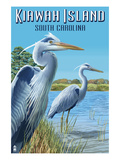 Kiawah Island  South Carolina - Blue Herons