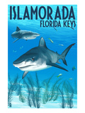 Islamorada  Florida Keys - Tiger Shark