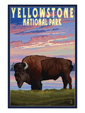 Yellowstone National Park - Bison and Sunset