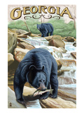 Georgia - Black Bears Fishing