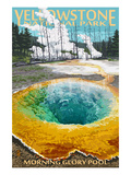 Morning Glory Pool - Yellowstone National Park