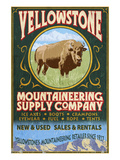 Yellowstone National Park - Bison Mountaineering