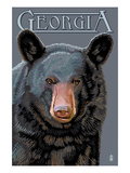 Georgia - Black Bear Up Close