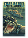 Charleston  South Carolina - Alligators Scene