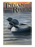 Indian River  Michigan - Loon Scene