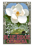 Blue Ridge  Georgia - Magnolia