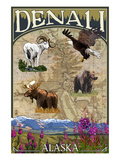 Denali  Alaska - Topographical Map