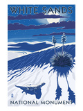 White Sands National Monument  New Mexico - Night Scene