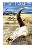 Cow Skull - Death Valley National Park