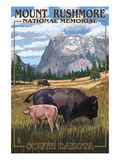 Mount Rushmore National Memorial  South Dakota - Bison Scene