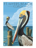 Ft Myers Beach  Florida - Pelicans