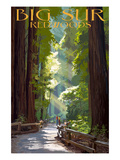 Big Sur  California - Pathway and Hikers