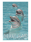 Kiawah Island  South Carolina - Dolphins