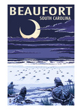 Beaufort  South Carolina - Sea Turtles Hatching