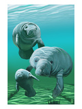 Manatees
