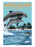 Marco Island  Florida - Dolphins Jumping