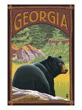 Georgia - Black Bear in Forest