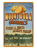 Mount Dora  Florida - Orange Orchard Sign
