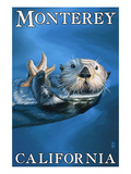 Monterey  California - Sea Otter