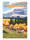 Chief Mountain and Big Horn Sheep - Glacier National Park  Montana