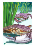 Dungeness Crab