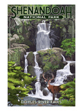 Shenandoah National Park  Virginia - Doyles River Falls