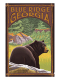 Blue Ridge  Georgia - Bear in Forest