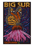 Big Sur  California - Butterfly and Flower
