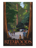 Redwoods State Park - Boardwalk