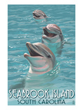 Seabrook Island  South Carolina - Dolphins