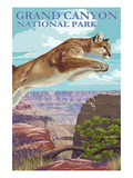Grand Canyon National Park - Cougar Jumping