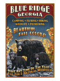 Blue Ridge  Georgia - Black Bear Family