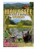 Hiawassee  Georgia - Montage Scenes