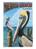 Mexico Beach  Florida - Brown Pelicans
