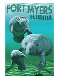 Manatees - Fort Myers  Florida