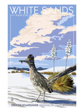 White Sands National Monument  New Mexico - Roadrunner