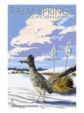 Palm Springs  California - Roadrunner Scene