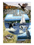 Camano Island  Washington - Montage