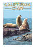 California Coast - Sea Lions