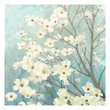 Dogwood Blossoms I