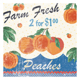 Vintage Fruit Square IV